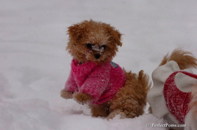 Feb12_08_043.JPG