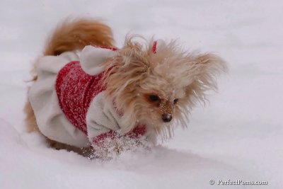 Feb12_08_050.jpg