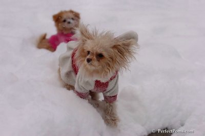 Feb12_08_052.JPG