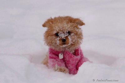 Feb12_08_058.jpg
