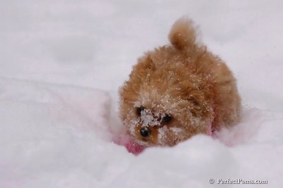 Feb12_08_063.jpg