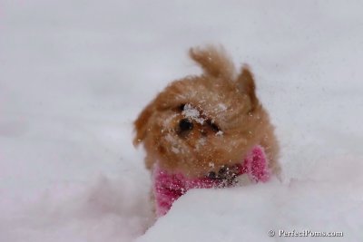 Feb12_08_069.jpg