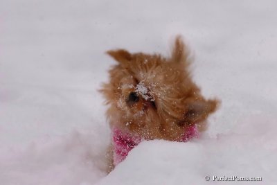 Feb12_08_071.jpg