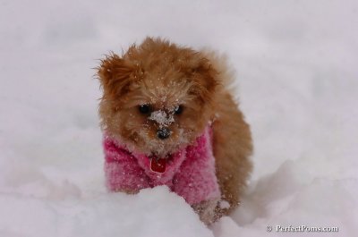 Feb12_08_079.JPG