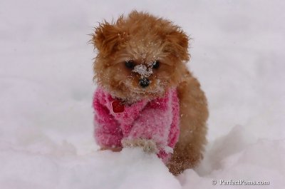 Feb12_08_080.JPG