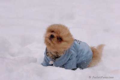Feb12_08_081.jpg