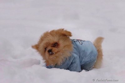 Feb12_08_082.jpg