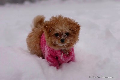 Feb12_08_084.jpg