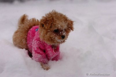 Feb12_08_086.JPG