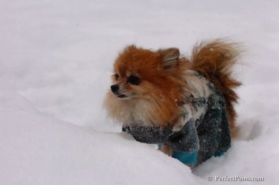 Feb12_08_087.JPG