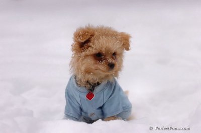 Feb12_08_089.JPG