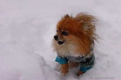 Feb12_08_090.jpg