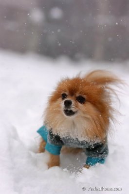 Feb12_08_093.JPG