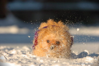 Feb13_08_510.jpg