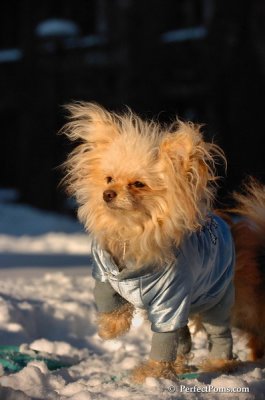 Feb13_08_535.JPG