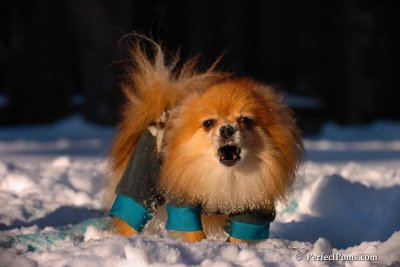 Feb13_08_537.jpg