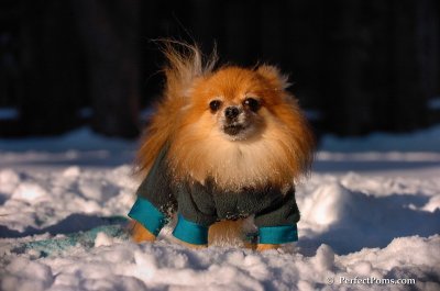 Feb13_08_538.JPG