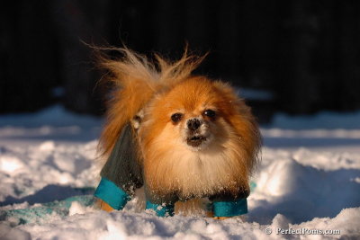 Feb13_08_540.jpg