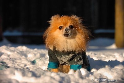 Feb13_08_547.jpg