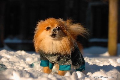 Feb13_08_550.jpg