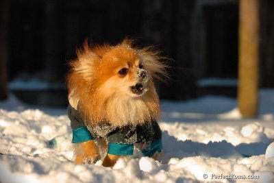 Feb13_08_552.jpg