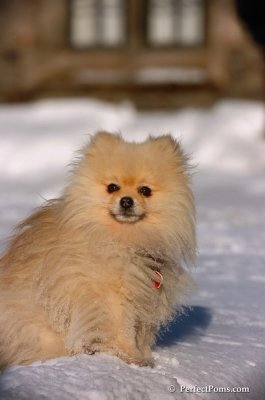 Feb13_08_324.JPG