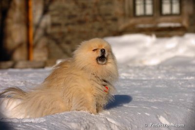 Feb13_08_325.jpg