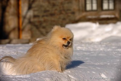 Feb13_08_326.jpg