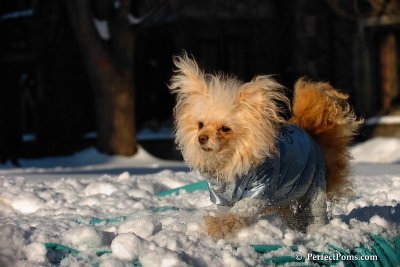 Feb13_08_327.jpg