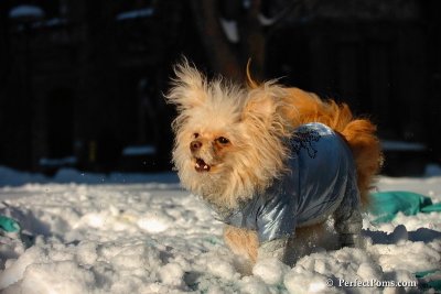 Feb13_08_329.jpg