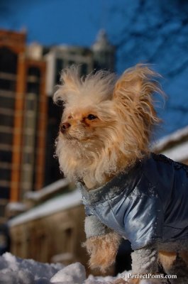 Feb13_08_332.JPG
