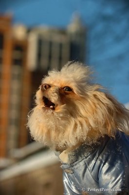 Feb13_08_333.JPG