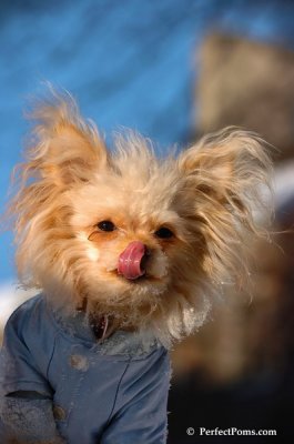 Feb13_08_340.JPG