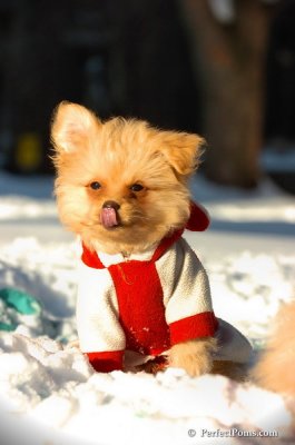 Feb13_08_372.JPG