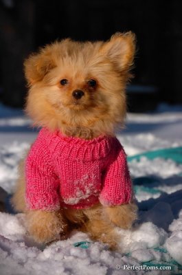 Feb13_08_374.JPG