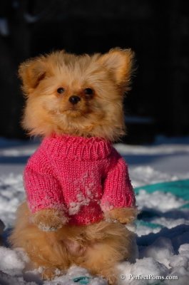 Feb13_08_377.JPG