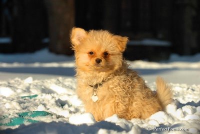 Feb13_08_385.jpg