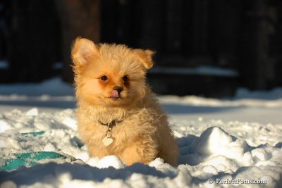 Feb13_08_389.jpg