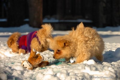 Feb13_08_393.jpg