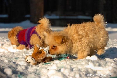 Feb13_08_394.JPG