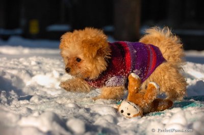 Feb13_08_404.JPG