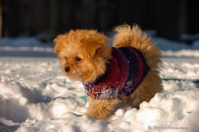 Feb13_08_406.JPG
