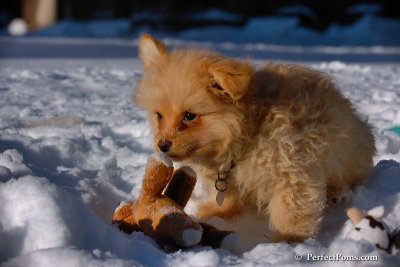 Feb13_08_412.jpg