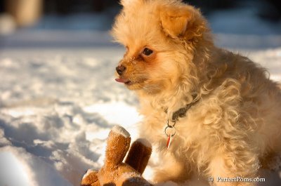 Feb13_08_413.JPG