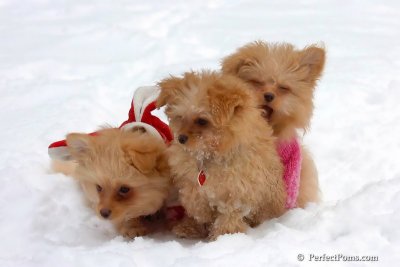 Feb14_08_285.jpg