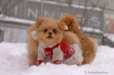 Feb14_08_332.jpg