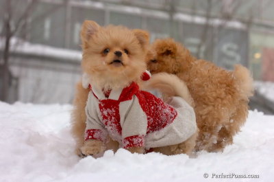Feb14_08_334.JPG