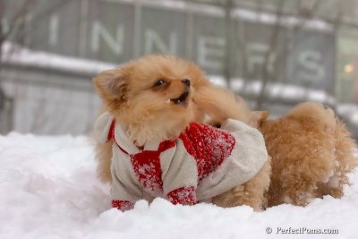 Feb14_08_335.jpg