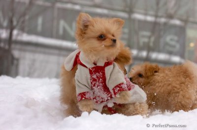 Feb14_08_336.JPG