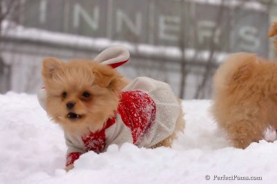 Feb14_08_338.jpg
